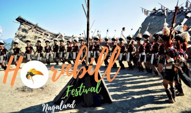 A Complete Guide to Hornbill Festival 2010 - Nagaland