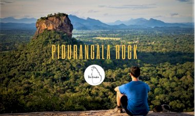 Pidurangala Rock : All you need to know about Sri Lanka,s  Incredible View Point