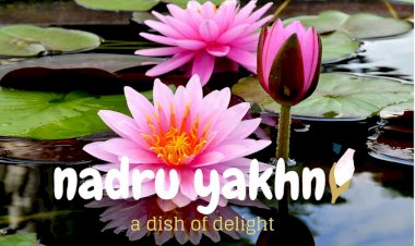 Nadru  Yakhni : A Kashmiri dish of delight