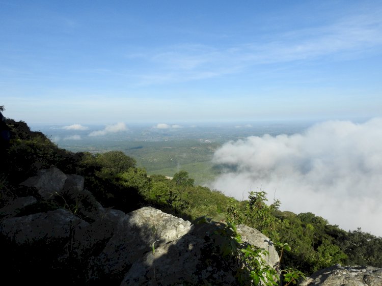Just another view from the top