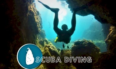 Scuba diving in Sri Lanka