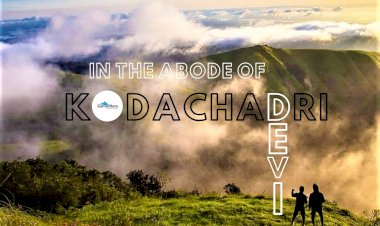 A Weekend Trek to Kodachadri
