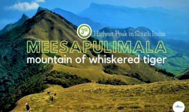 Meesapulimala : Trek to the Mountain of Whiskered Tiger