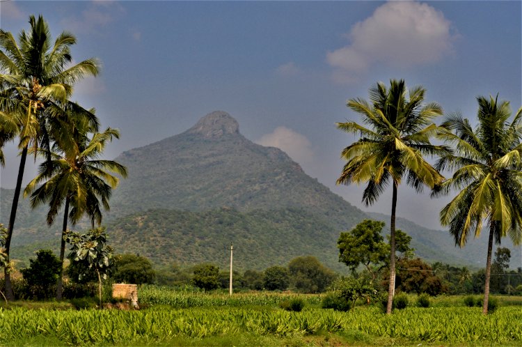 View of Hill fort from Bandalli Village