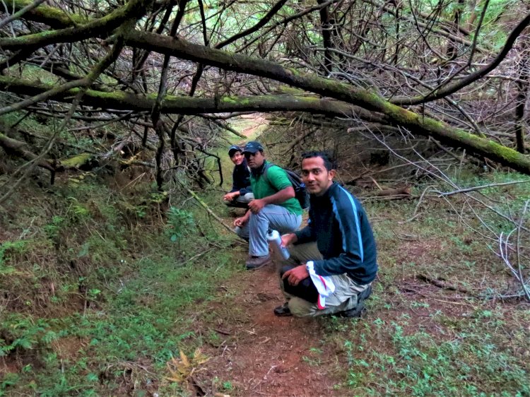 Mukurthi trek trail
