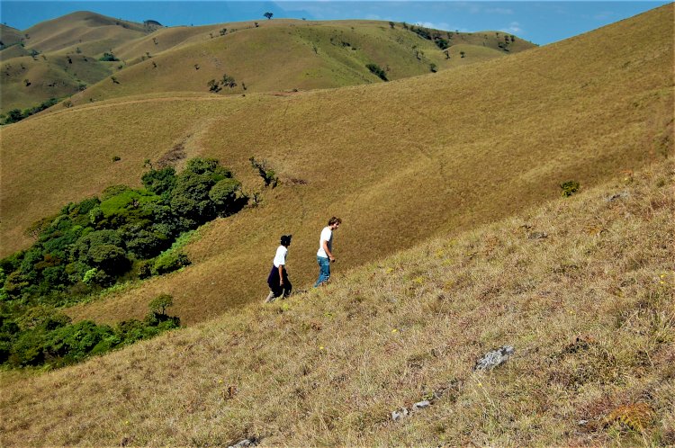 Climbing Mukurthi peak