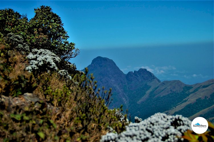 Niligiri peak seen from Mukurthi peak