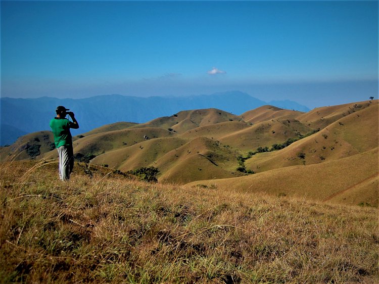 View of Sispara Mukurthi national park