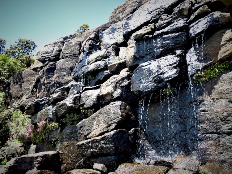 Waterfalls Mukurthi National park