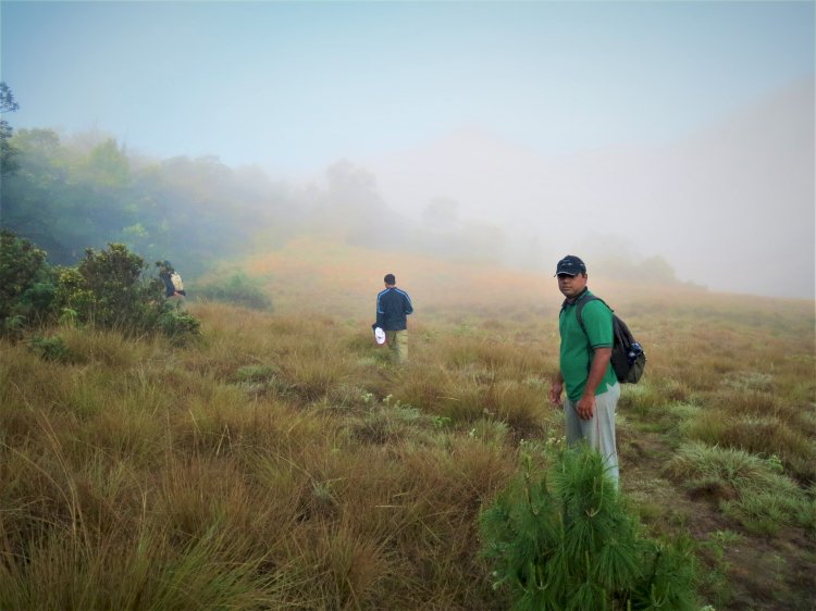 On the grasslands Mukurthi trek