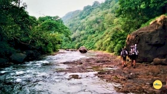 Top of sural falls