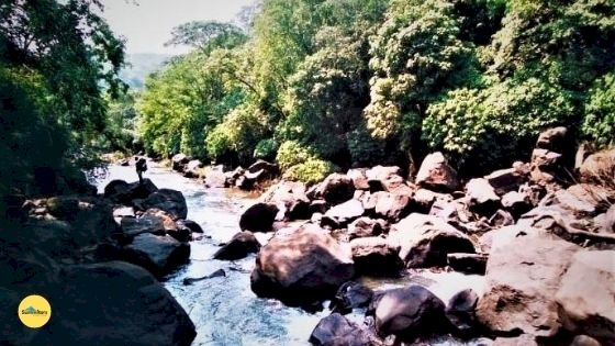on the river valley Sural falls