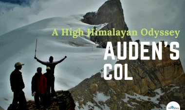 Auden's Col : A High Himalayan Odyssey