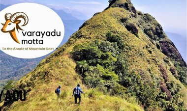 Varayadumotta - To the Abode of  Nilgiri Tahr