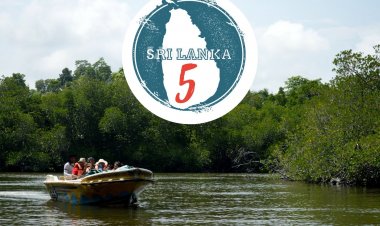5 Things a family loves to  do on a  Sri Lankan Wildlife Vacation