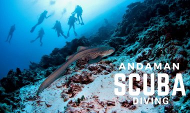 Learning Scuba Diving  in Andaman Island's - A  Complete Guide