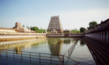 A day visit to Chidambaram and Exploring the Mangroves of Pichavaram