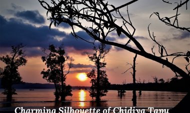 Charming Silhouette of Chidiya Tapu