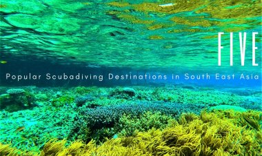 Five Popular Scubadiving Destinations in South East Asia
