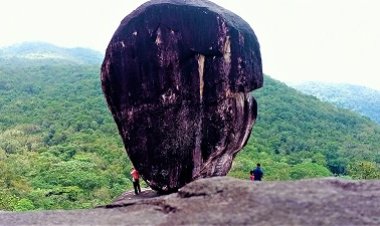 Bheemana Buguri – An incredible Black beauty in the backdrop of green canopy