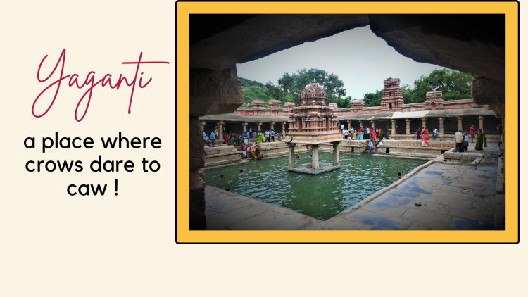 Yaganti - A Place where Crows dare to Caw !