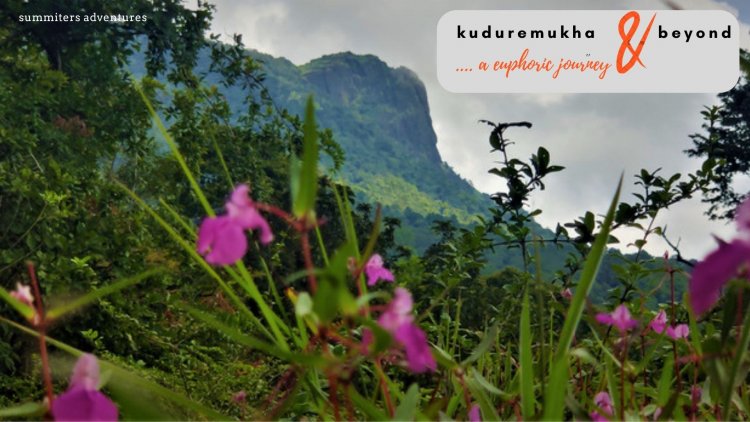 Kuduremukha and Beyond : A Euphoric Journey