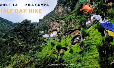 Chele  La  to Kila Gompa  Half Day  Hike  -  Bhutan