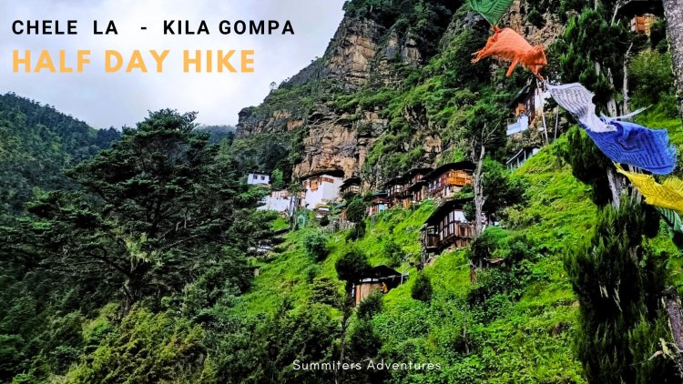 Chele La to Kila Gompa Half Day Hike - Bhutan