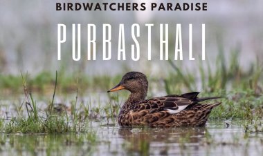 Birdwatchers  Paradise  - Purbasthali
