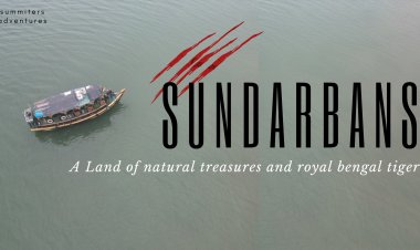 Sundarbans - A Land of natural treasures and striped Cats !
