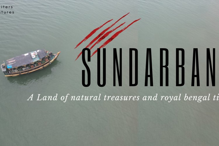 Sundarbans - A Land of natural treasures and striped Cats ! - Summiters ...