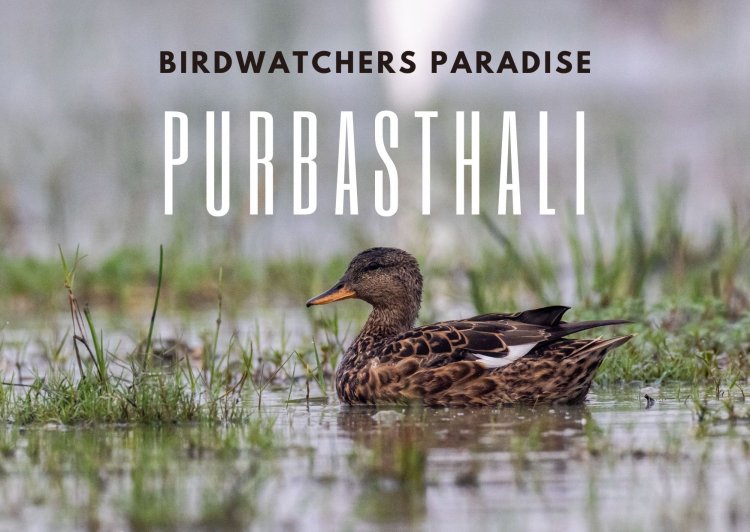 Birdwatchers Paradise - Purbasthali