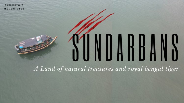 Sundarbans - A Land of natural treasures and striped Cats !