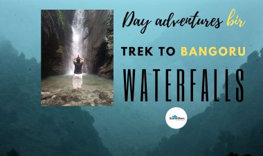 Day Adventures at Bir -  Trek to Bangoru Waterfalls
