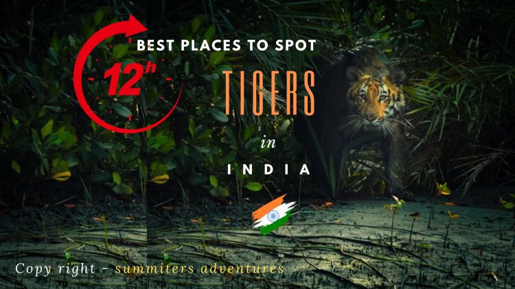 12 best places to spot tigers face to face in India