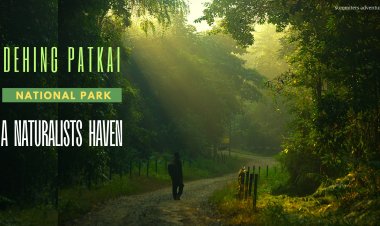 Dehing Patkai National Park - A Naturalists Haven
