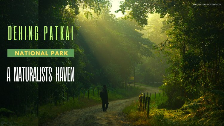 Dehing Patkai National Park - A Naturalists Haven