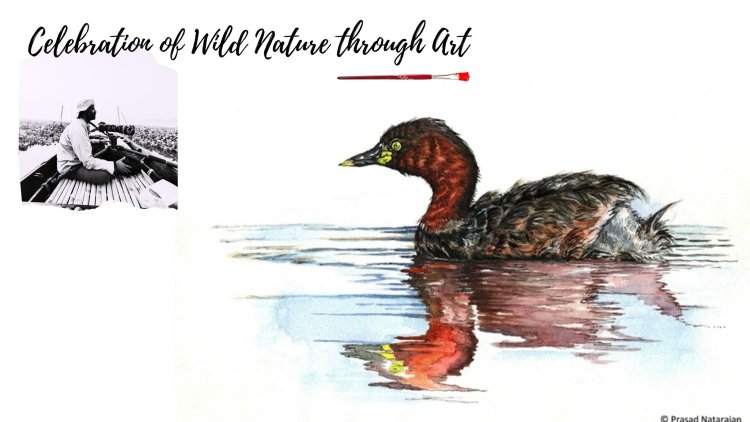 Celebration of Wild Nature through Art !