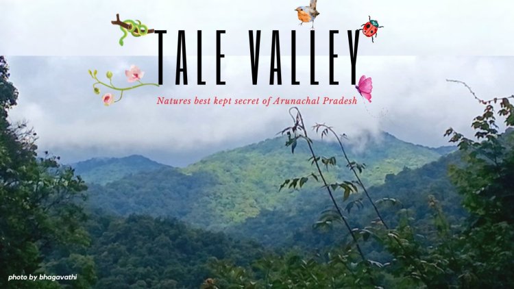 Talle Valley - Natures best kept secret of Arunachal Pradesh