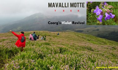 Mavalli Motte Trek - Coorgs Violet Revival