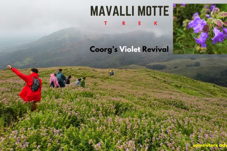 Mavalli Motte Trek - Coorgs Violet Revival
