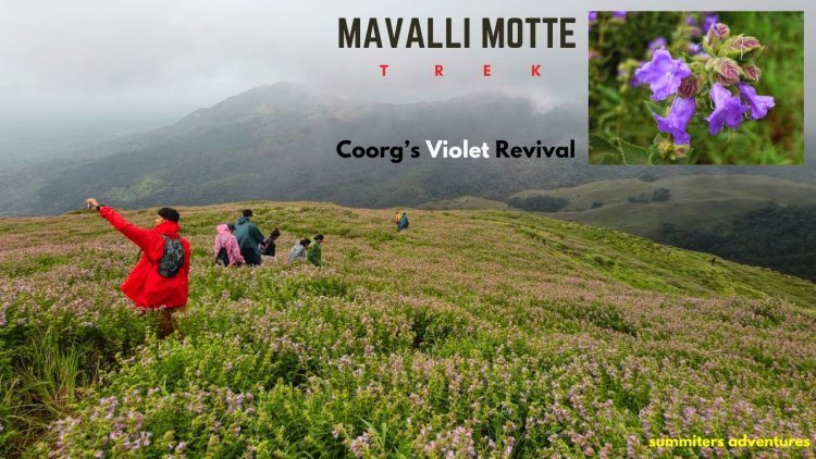 Mavalli Motte Trek - Coorgs Violet Revival